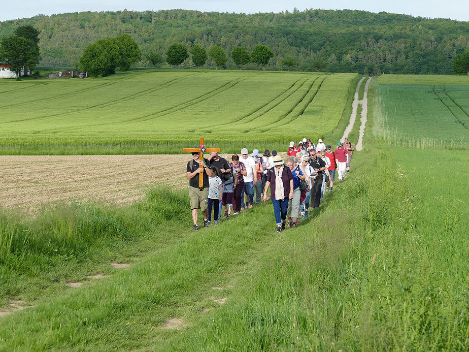 Baunataler Wallfahrt zur Naumburger Fatima Grotte (Foto: Karl-Franz Thiede)